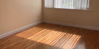 126 WEBSTER Street NE unit: 1 Gallery 3