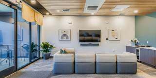 Avian Gallery 20