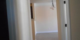 Briton Trace Apartments Gallery 77