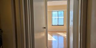 Coolidge Corner, Prime location!  West facing bright condo w/Garage Parking Available 9/1! Walk to Longwood! Gallery 6