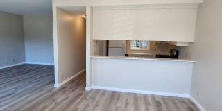 1970 Bush Street 1970 Bush Street Gallery 8