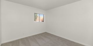 Urban Walk Gallery 17