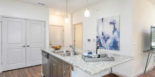 Venetian Isle Gallery 22