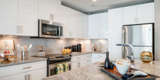 Insignia On M Gallery 57