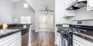 Avery at TownCentre Gallery 29