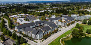 The Arbory Gallery 1