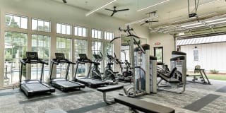 LEO at Flint Crossing Gallery 17