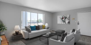 Maple Creek Gallery 5