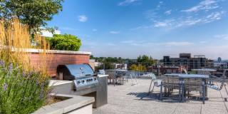 Line 28 at LoHi Apartments Gallery 8