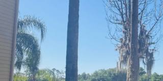 1969 Slavia Road Gallery 1