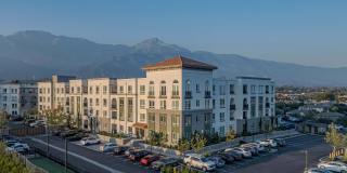 The Upland Gallery 1