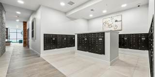 The Stella Gallery 21