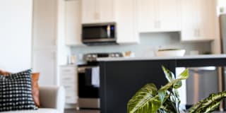 Arris Blaine Gallery 16