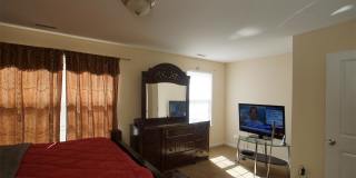 2236 Stoney Spring Drive - 1 Gallery 19