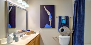 Pavilions at Northshore Gallery 11