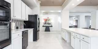 Lirio Gallery 41