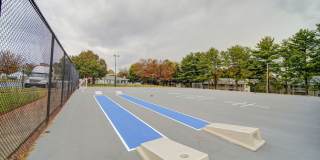 Falcon Pointe Gallery 8