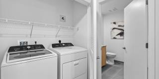 Aster & Links Gallery 113