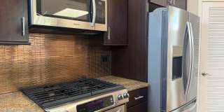 Completely Renovated Downtown Memphis Loft with Rooftop Skyline Views. Gallery 7