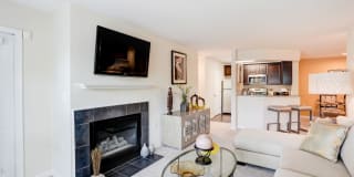 Regent's Park Gallery 12