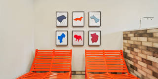 Jayne Gallery 23
