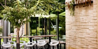 Insignia On M Gallery 38