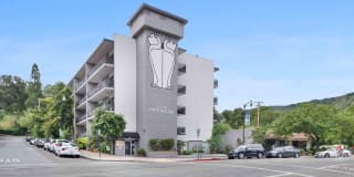 El Gato Penthouse Gallery 1