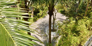 61 Collins Ave Gallery 3
