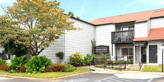 Ashford Terrace Gallery 8
