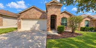 130 Golden Wren Gallery 1