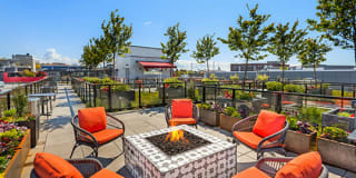 Jack Capitol Hill Gallery 1