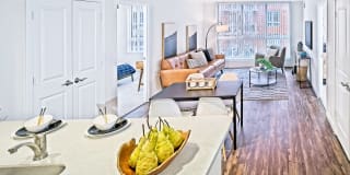 Thomas Court Gallery 3