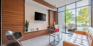 Pinnex Gallery 11