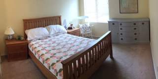 Beautiful Sand Point Condo with Pool & Garage Parking Gallery 8