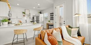 Canopy at Cottonwood Gallery 9