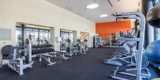 Venue Gallery 44