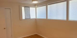 Beautiful 4 Bedroom Home in Hyder Park Gallery 27
