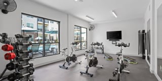 Elevate 114 Gallery 9