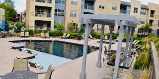 Andante at Nine Mile Station Gallery 8