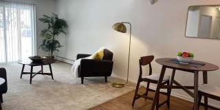 Springtree Gallery 11