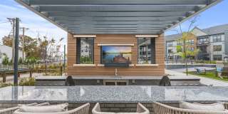 Canter Green Gallery 44