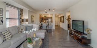 Windsor Riverfront Park Gallery 12