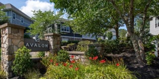 Avalon at The Pinehills Gallery 27