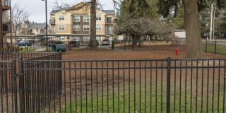 Jory Trail at the Grove Gallery 17