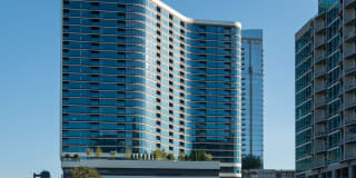 The Dagny Gallery 17