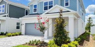 3379 Yellow Cassia Dr Gallery 3