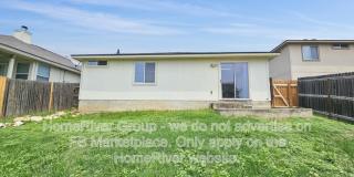 14211 Yellow Warbler Gallery 15