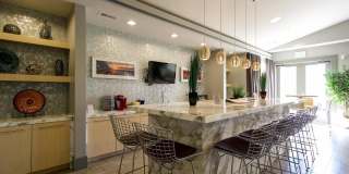 7364 MOCKINGBIRD CIR Gallery 54