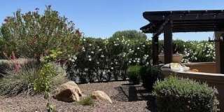 27312 N 125TH Drive Gallery 30