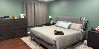 Spacious 4-bdrm/2.5-bath Hillsboro home. Fenced yard w/ covered deck, 2-car garage, great location Gallery 11